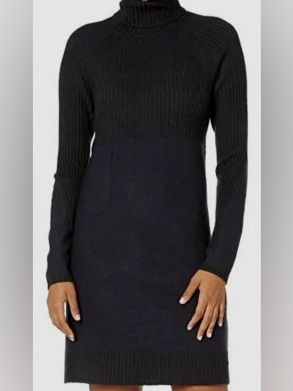Royal Robbins Lasson Merino Ribbed Turtleneck Sweater Dress Trim Fit